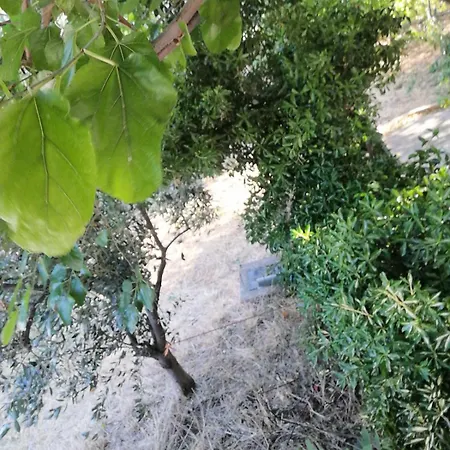 דירה Rhm Relaxing Monthly Akraifnio